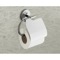 Polished Chrome Toilet Roll Holder With Cover