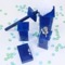Blue Rainbow Accessory Set of Thermoplastic Resins