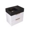 Fluted Floating Bathroom Vanity - 24 Inch, Small, Modern, Glossy White, Gold Handles, Fluted Cabinet