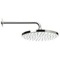 10 Inch Rain Shower Head With Arm, Chrome
