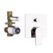 Chrome Wall Mounted Diverter, Rough-In Valve Included