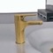Brushed Gold Single Hole Bathroom Faucet