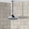 6 Inch Ceiling Mount Rain Shower Head With Arm, Chrome