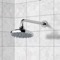 6 Inch Rain Shower Head With Arm, Chrome