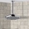 9 Inch Ceiling Mount Rain Shower Head With Arm, Chrome