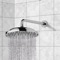 9 Inch Rain Shower Head With Arm, Chrome