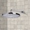 8 Inch Chrome Rain Shower Head With Arm