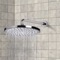 8 Inch Chrome Rain Shower Head With Arm
