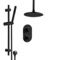 Black Thermostatic Ceiling Shower System with Handheld