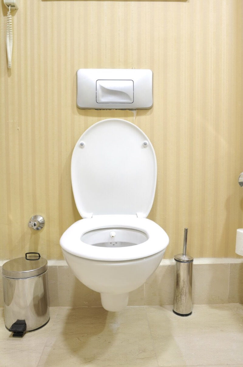 Lever or Button Flush Toilet - Which Is Ideal for You? 