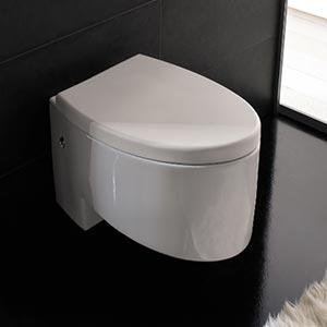 Wall Mounted Toilets